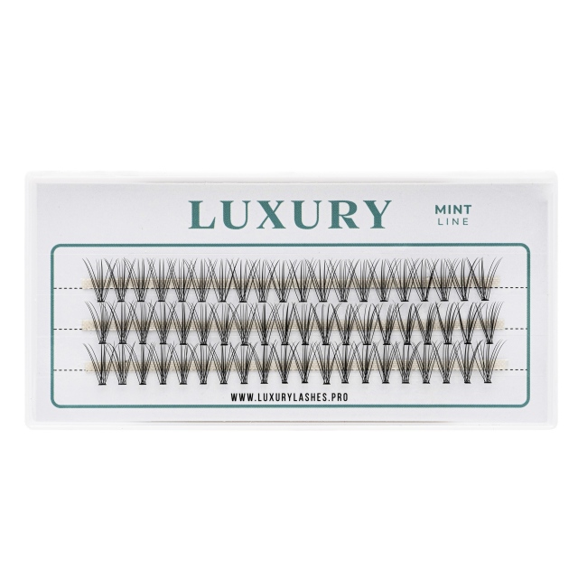 Kępki rzęs Luxury MINT C 11mm - naturalne podkręcenie, 10D